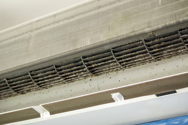 Best Home Air Vent Cleaning  in Blairsville, PA